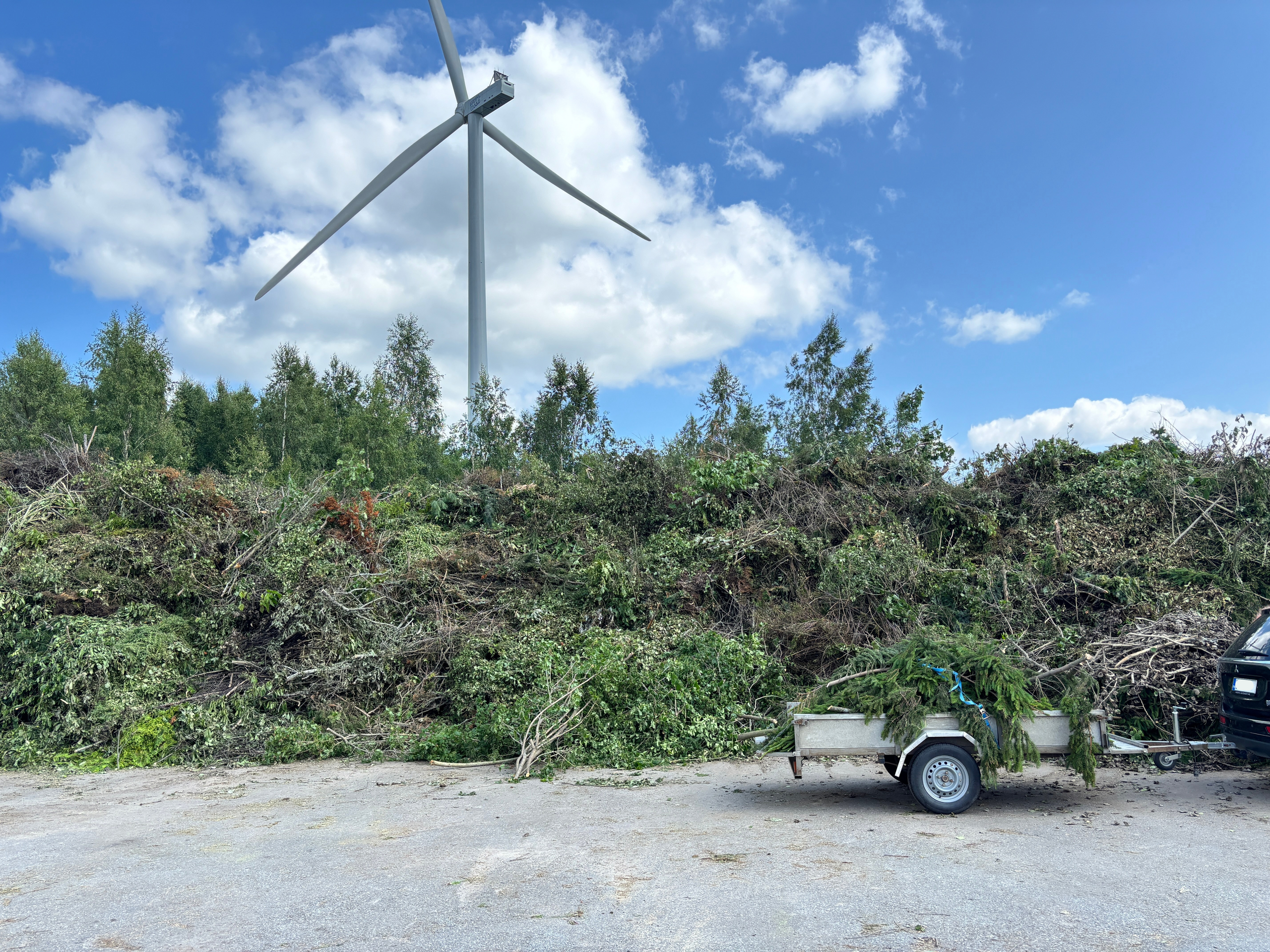 Risuja Hangassuon risukentällä